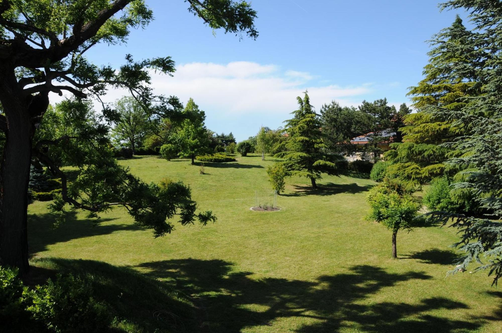 Villa Ester Tagliolo Monferrato Kültér fotó