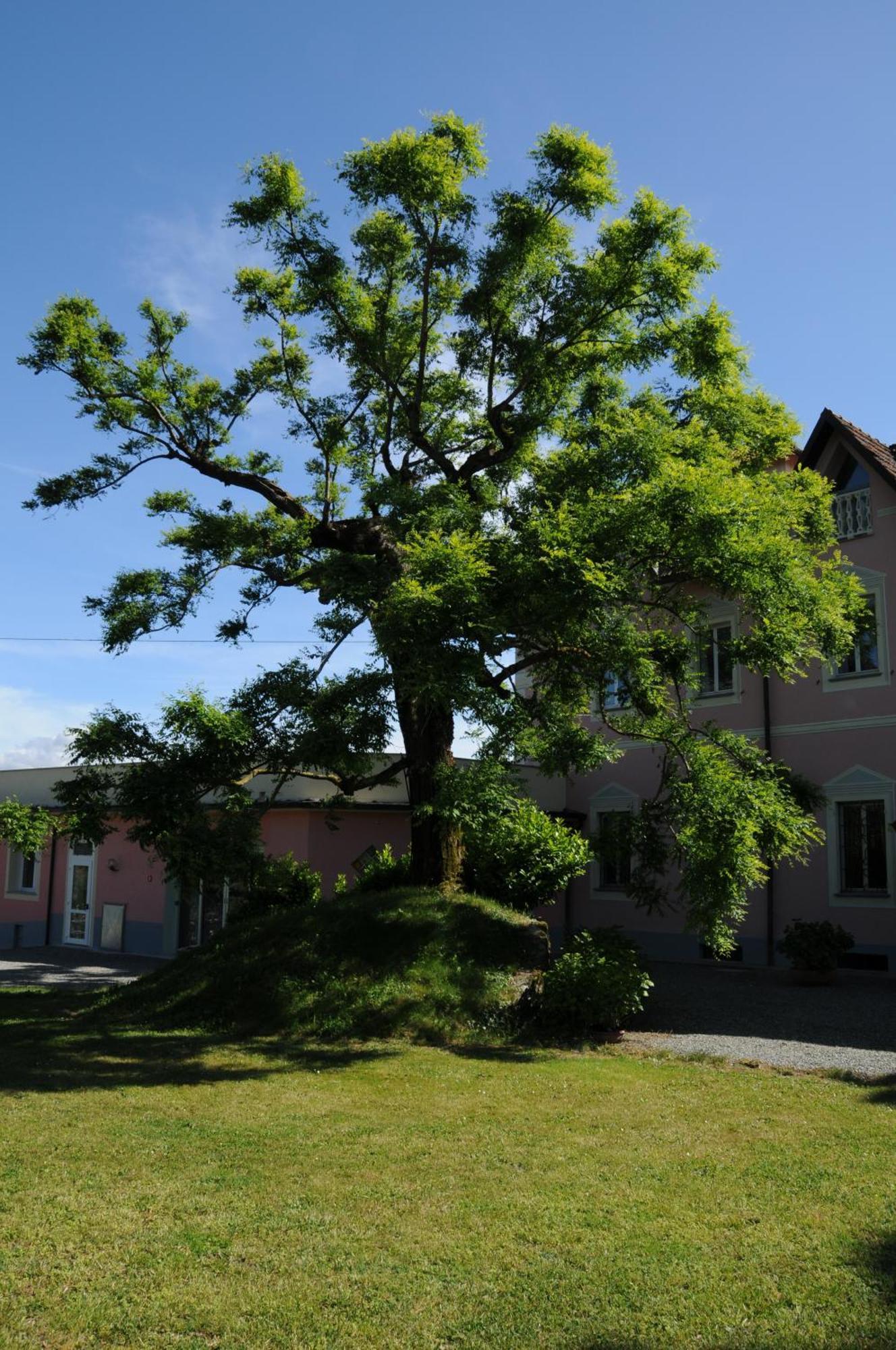 Villa Ester Tagliolo Monferrato Kültér fotó