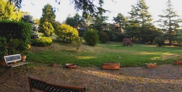 Villa Ester Tagliolo Monferrato Kültér fotó